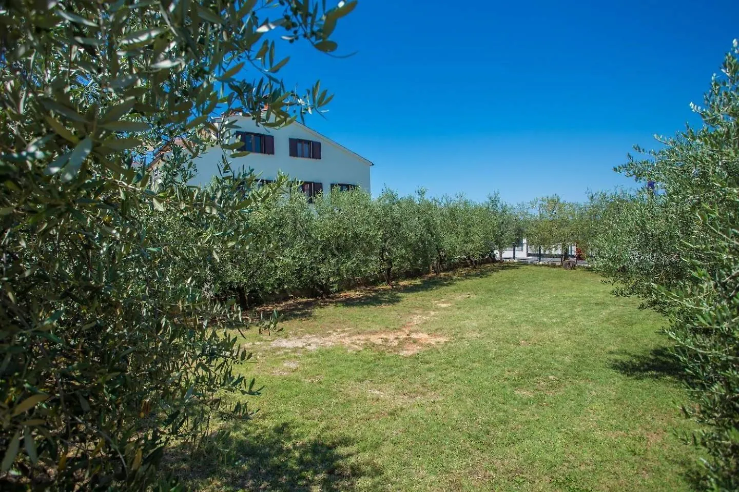 Emanuel Apartments Tar-Vabriga Croatia